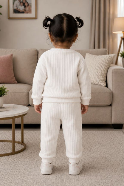 544 - Grey - 🐧 Infant Gray Penguin Embroidered Cozy Set| 320 - 340 GSM  Imported Soft Fabric